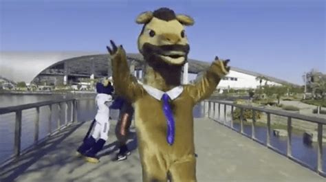A Day in the Life of a Tremendous Jay Mascot